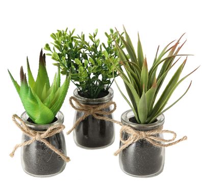 Topfpflanze Sukkulente - im Glas - 3er Set - Kunstpflanze Tischdeko Pflanze künstlich