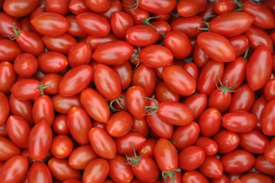 Wintertomate rote Eiertomate Piennolo-Tomate Lagertomate