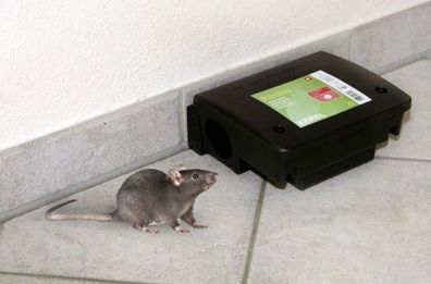 KERBL Köderstation BlocBox Kunststoff Beta für Ratten inkl. Wandhalterung