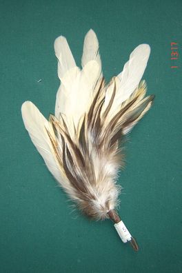 Trachtenhutfeder Dirndlhutfeder Hahn naturweiß und braun 22cm Hutfeder Art62450