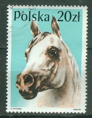 Polen Mi 3193 gest Pferd mot3696