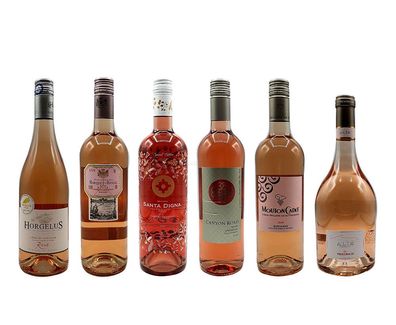 Rose Wein Tasting Set - 6 verschiedene Sorten - Horgelus Rosé 750ml (11,5% Vol)