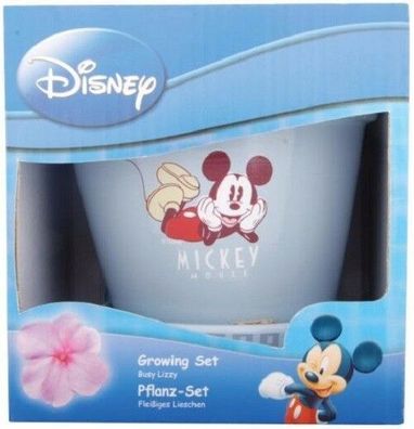Süßes Disney Micky Mouse Pflanz Set Sonnenblume 2059