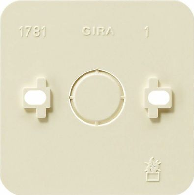 Gira Montageplatte 1fach Aufputz 008113
