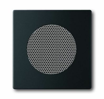 B + J Zentralscheibe für Einbau-Lautsprecher future® linear schwarz matt 8253-885