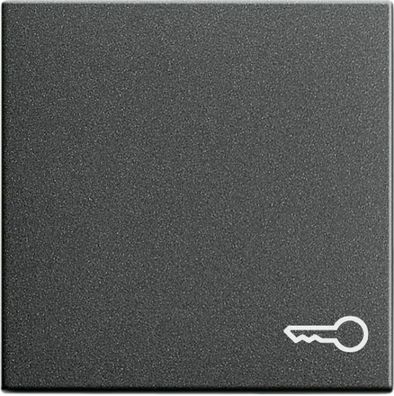 Gira System 55 Wippe + Symbol Schlüssel Anthrazit 028728