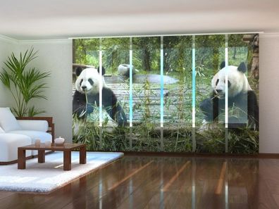 Fotogardine Pandas, Schiebevorhang mit Motiv, Flächenvorhang Fotodruck, auf Maß