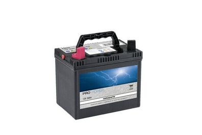 Akku Batterie Starterbatterie f. Rasentraktor YUASA 12V 30Ah + li Wartungsfrei