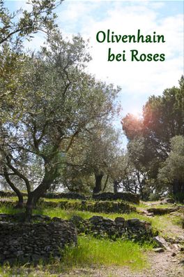 Premium Olivenöl Oli de Pau Verge Extra (0,5 Liter Glasflasche)