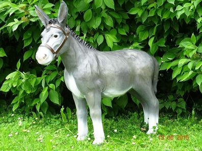 XL Premium Esel 100cm lebensgross in grau Garten Deko Figur inkl. Spedition