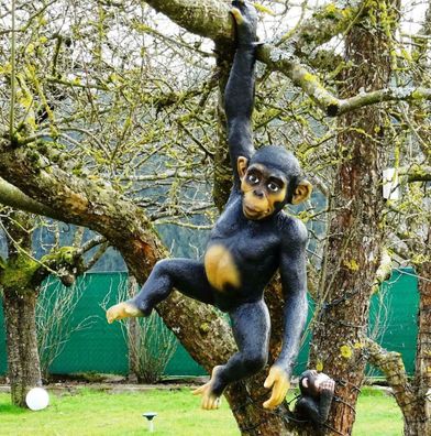 XL Schimpanse Lebensgross 95cm AFFE HÄNGT Premium Gartendeko Garten Dekoration