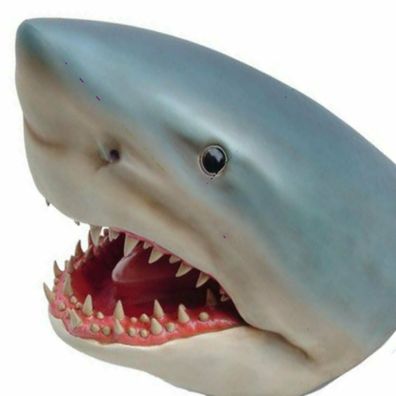XXL Premium Haikopf lebensgross Shark Fisch Haifisch Hai-Deko auch zum aufhängen