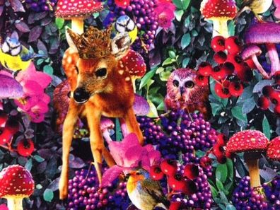 Baumwolljersey, "Bambi-Eule", 115 x 150 cm