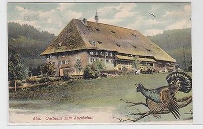 62324 Ak Aha Gasthaus zum Auerhahn 1906