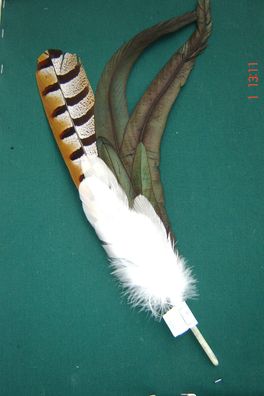 Trachtenhutfeder Dirndlhutfeder Fasan braun Hahnenfedern grün u weiß 38cm Nr 62939