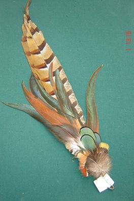 Trachtenhutfeder Dirndlhutfeder lange Fasafeder braun Hahnenfedern grün 39cm Nr 62961