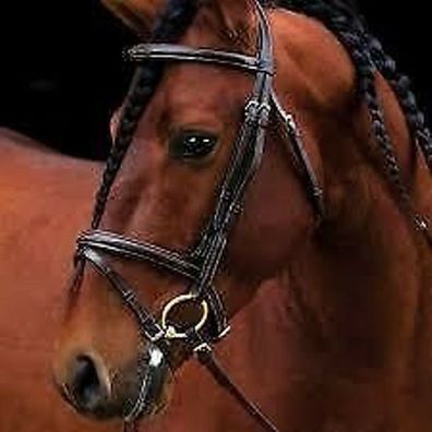 Amigo Deluxe Bridle, Amigo Trense, Trensenzaum Horseware, Gr. Pony