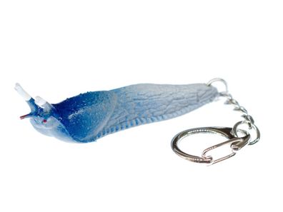 Nacktschnecke Schnecke Schlüsselanhänger Miniblings Blauschnegel Schlüsselring blau