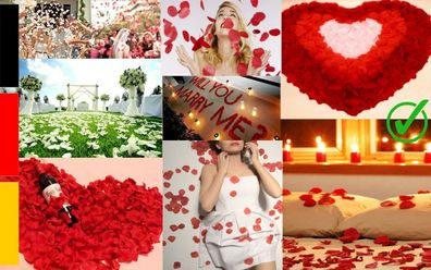 NEU Blüten Rosen Valentinstag Hochzeit Streu und Tischdeko 1A 100 500 Blätter
