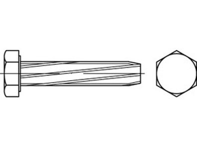 DIN 7513 Stahl Form A galvanisch verzinkt Sechskant-Schneidschrauben