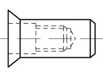 Artikel 88481 Stahl S galvanisch verzinkt Blindniet-Muttern