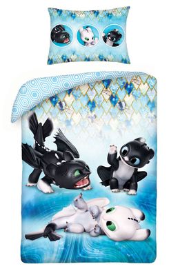 DreamWorks Dragons Drachenzähmen Babybettwäsche 100x135 cm HTTD6400