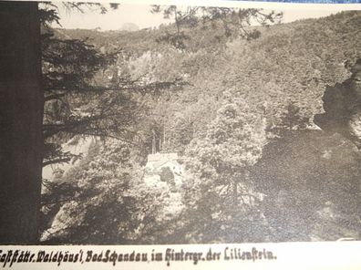 4304 / Ansichtskarte- Bad Schandau-Gaststätte Waldhäus´l