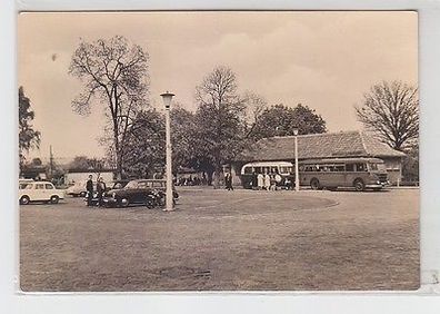 48684 Ak Torgelow (Mecklenburg) Markt mit Bussen 1964