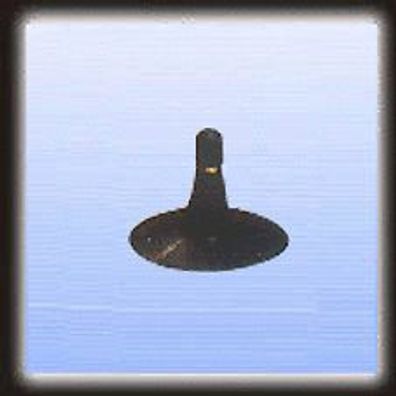 1 x 10/11-15 Schlauch TR15