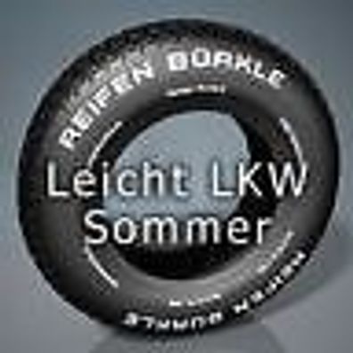 2 x 165/70/14 C 89/87R 6PR GT Maxmiller CX, LLkw-Sommer Reifen Transporterreifen