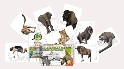 Adlung Spiele 51023 Manimals Serengeti-Park Kartenspiel Playing Cards Safari NEU