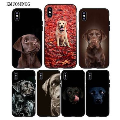 Labrador Retriever Case Hülle Schutz Cover look tasche Schutz für Apple iPhone