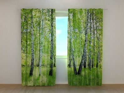 Fotogardine Birkenwald im Sommer, Vorhang bedruckt, Fotovorhang mit Motiv, nach Maß