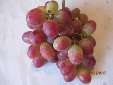 Vitis vinifera Scarlotta - Kernlose Weintraube Scarlotta