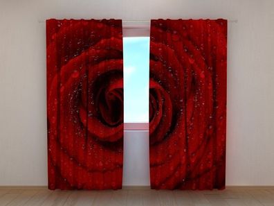 Fotogardine große rote Rose, Vorhang mit Motiv, Fotodruck, Gardine auf Maß