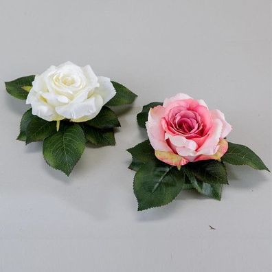 Formano Schwimmrose Rose weiss oder rosa Blätter Blüte Teich NEU