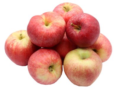 Bleichhof Äpfel Royal Gala - fest und süß, aus der Pfalz (5kg) neue Ernte