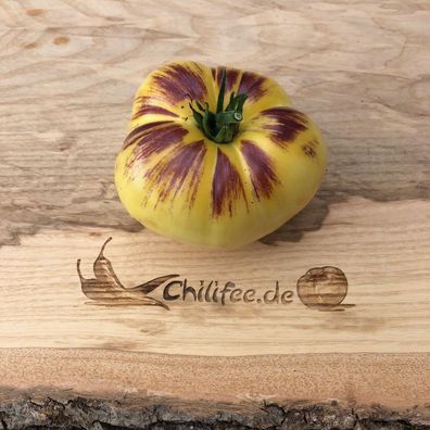 Sart Roloise cremeweiße Tomate mit lila Streifen wunderschöne belgische Sorte