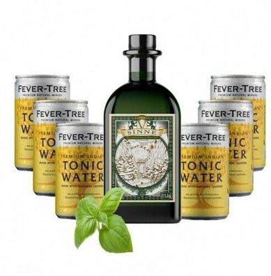 V-Sinne Gin & Fever Tree Tonic Water