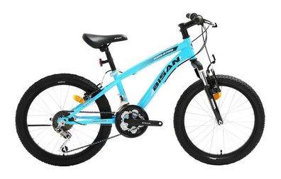 20 ZOLL Kinderfahrrad Kinder Mädchen Jungen MTB Mountainbike Fahrrad Bike Rad Blau