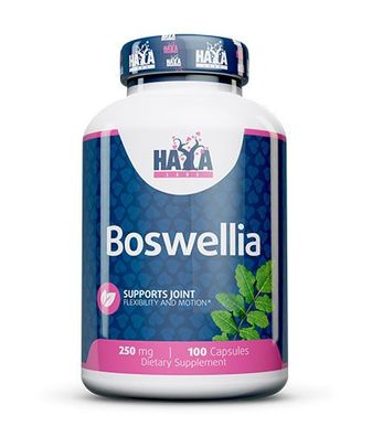 Haya Labs Boswellia Extract --- 100 capsules x 250 mg