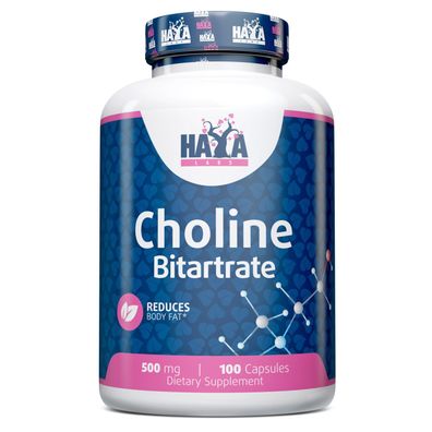 Haya Labs Choline Bitartrate --- 100 capsules x 500 mg