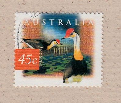Motiv Vögel - Australien - Jacana - Blatthühnchen o