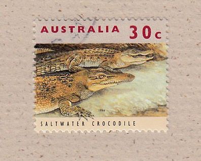 Motiv Reptilien - Australien - Salzwasserkrokodil o