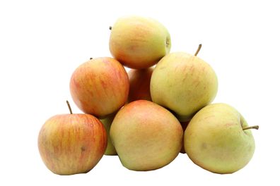 Bleichhof Äpfel Rubinette – saftig, säuerlich, aus der Pfalz (5kg) Neue Ernte