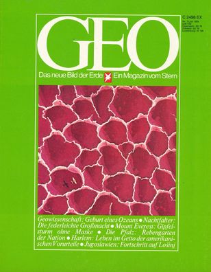 GEO - Das neue Bild der Erde - Ausgabe Nr. 7 - Juli 1978 Geburt eines Ozeans