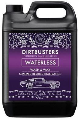 Dirtbusters wasserlose Fahrzeugreinigung Wash & Wax Sommerbeere 500 ml