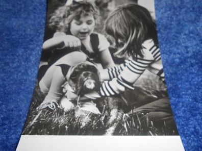 4442 / Ansichtskarte - Hund mit Kinder