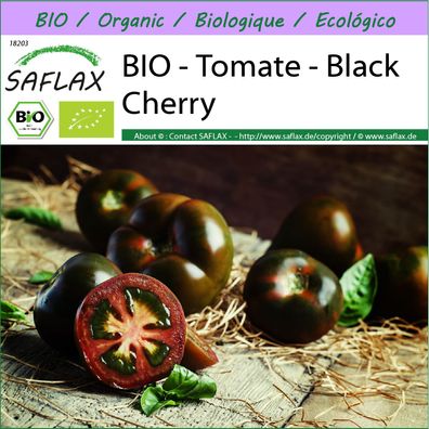 SAFLAX - BIO - Tomate - Black Cherry - Solanum - 10 Samen