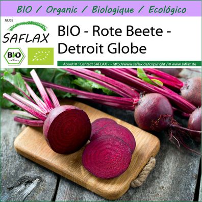 SAFLAX - BIO - Rote Beete - Detroit Globe - Beta - 100 Samen